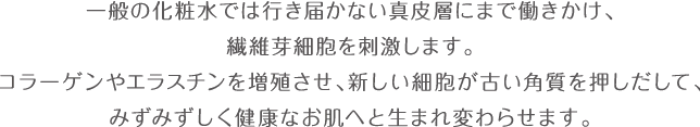 一般の化粧水では行き届かない真皮層にまで働きかけ、 繊維芽細部を刺激します。 コラーゲンやエラスチンを増殖させ、新しい細胞が古い角質を押しだして、 みずみずしく健康なお肌へと生まれ変わらせます。